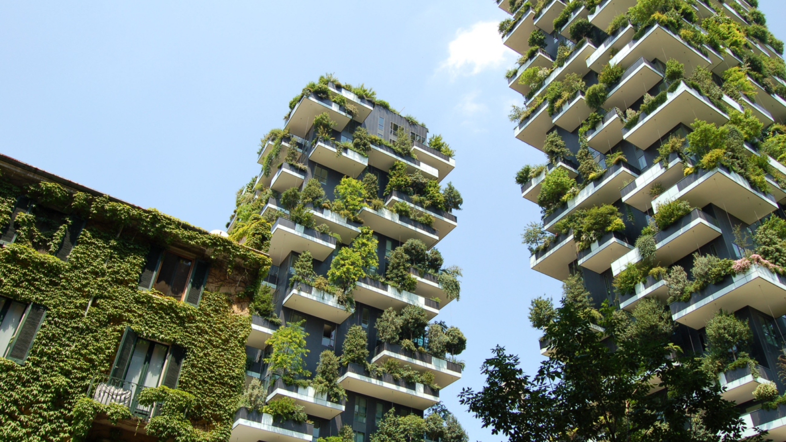 biophilia-main-pic_190530_093455.png